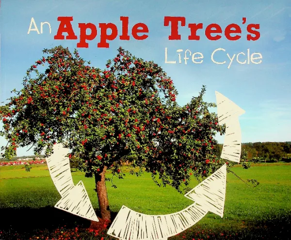 An Apple Tree's Life Cycle