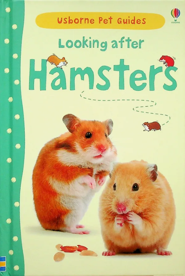 Looking after Hamsters