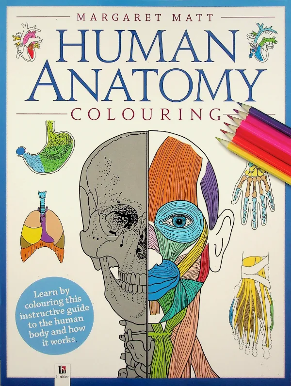 Human Anatomy Colouring