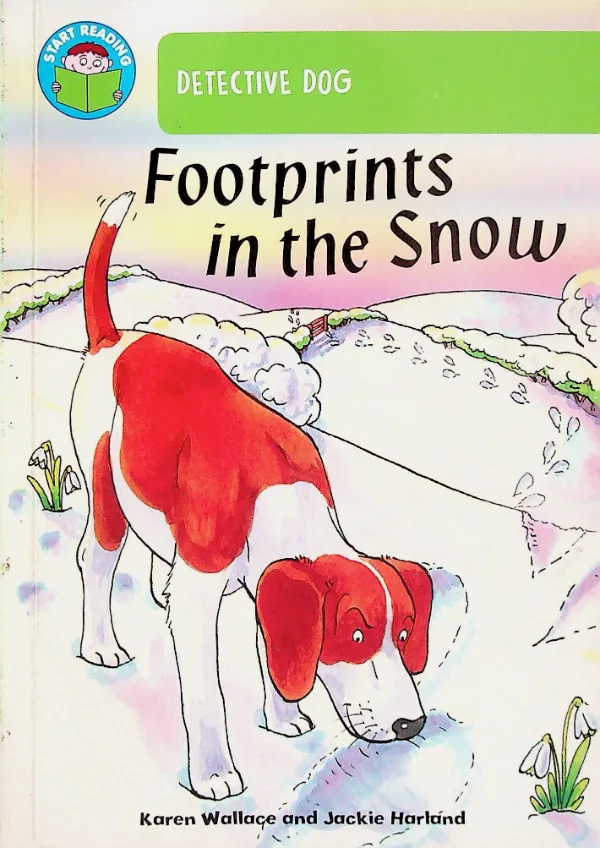 Footprints in the Snow