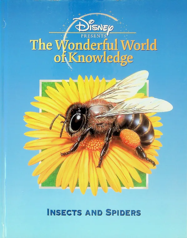 Insects and Spiders